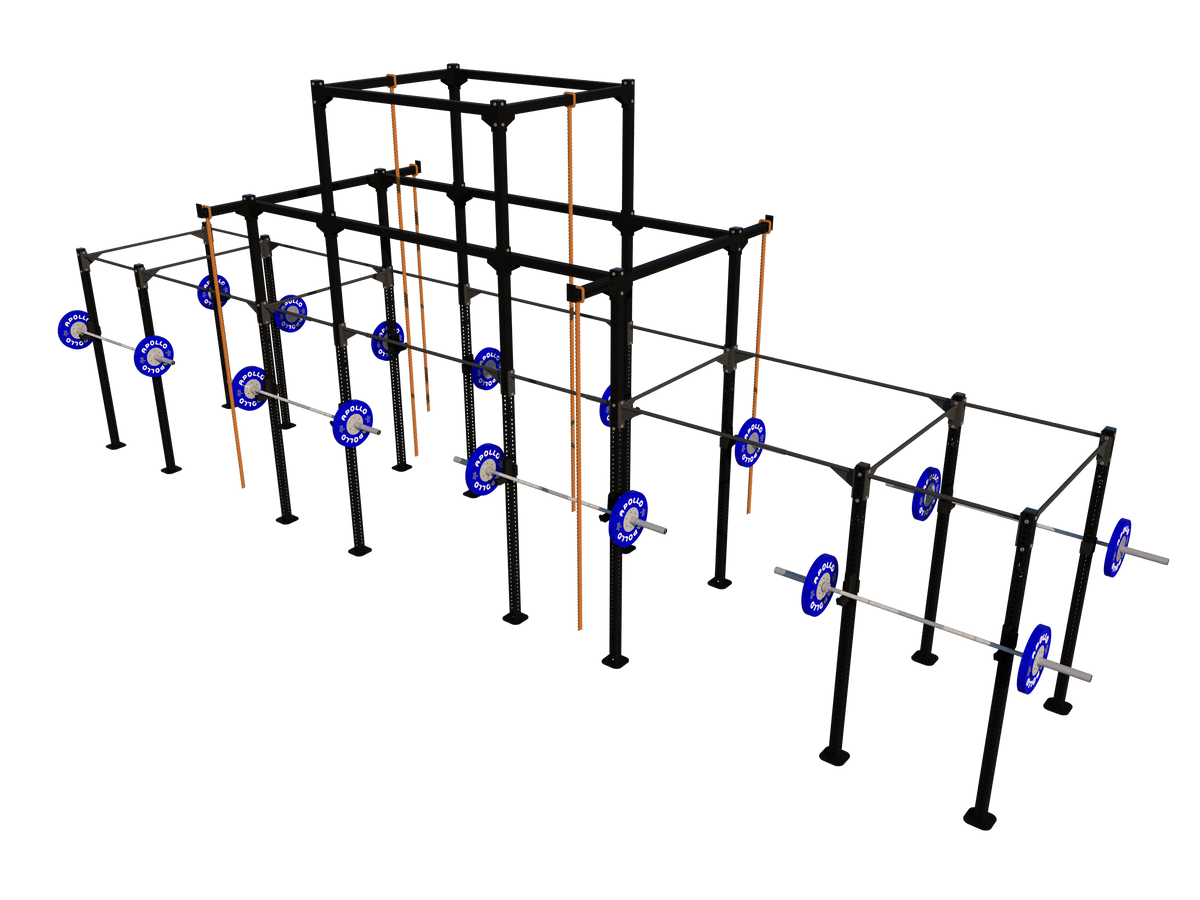 Custom Freestanding Rig - Apollo Fitness
