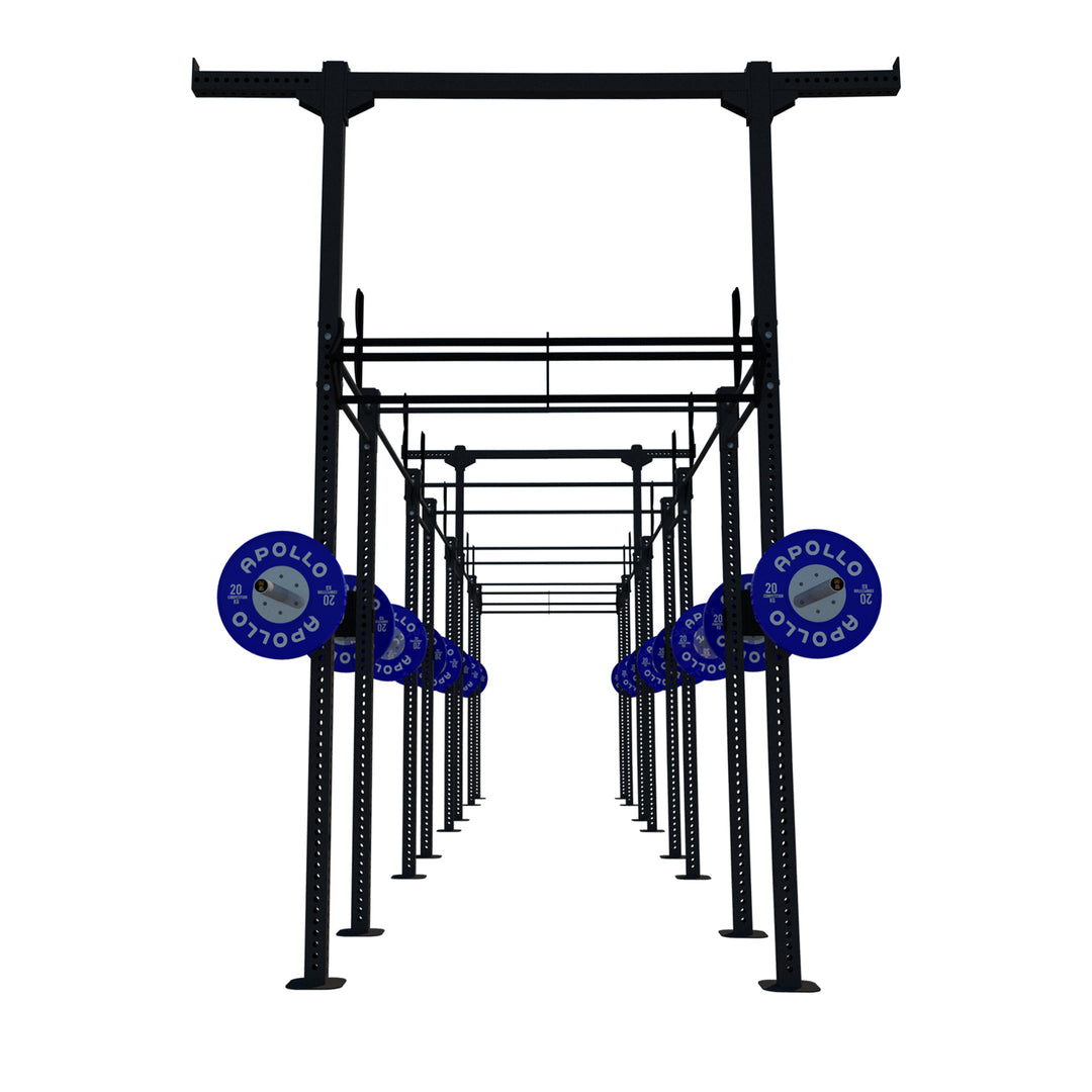 Custom Freestanding Rig - Apollo Fitness