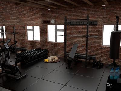 Transform your Garage into a Home Gym