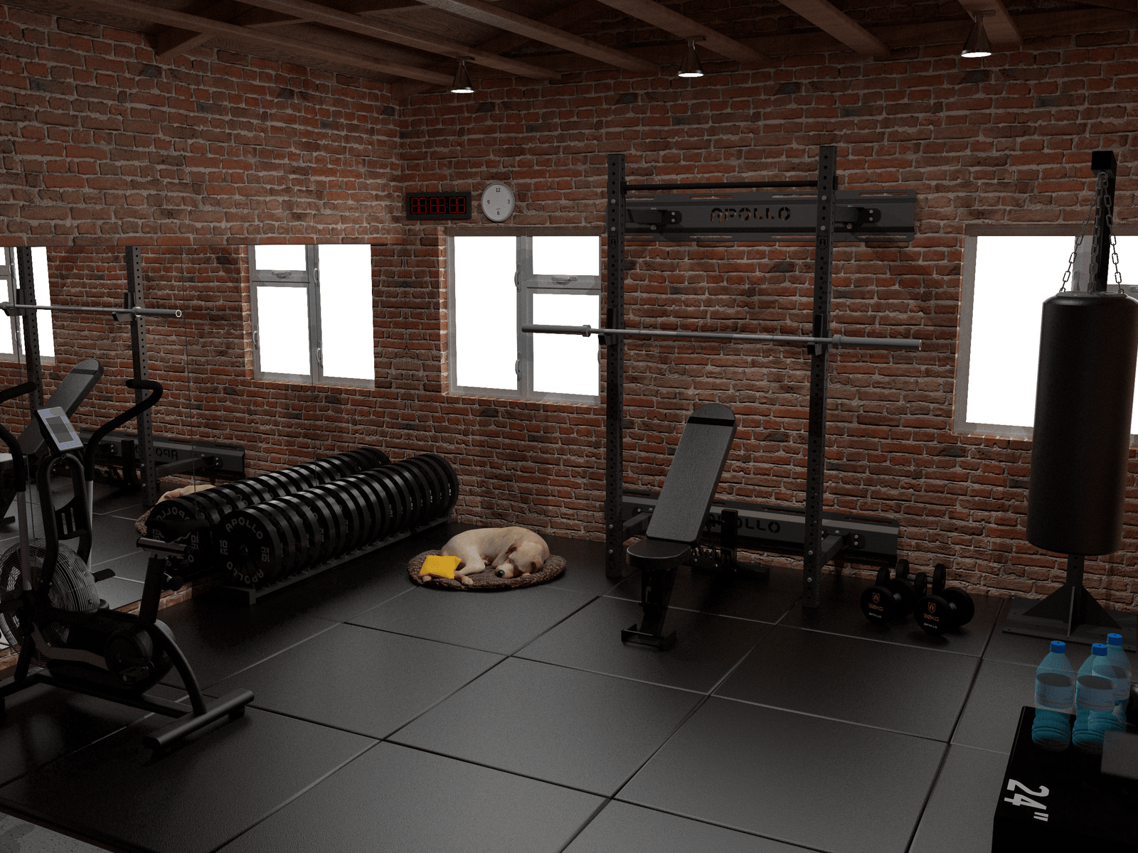 Transform your Garage into a Home Gym - Apollofitness.ie