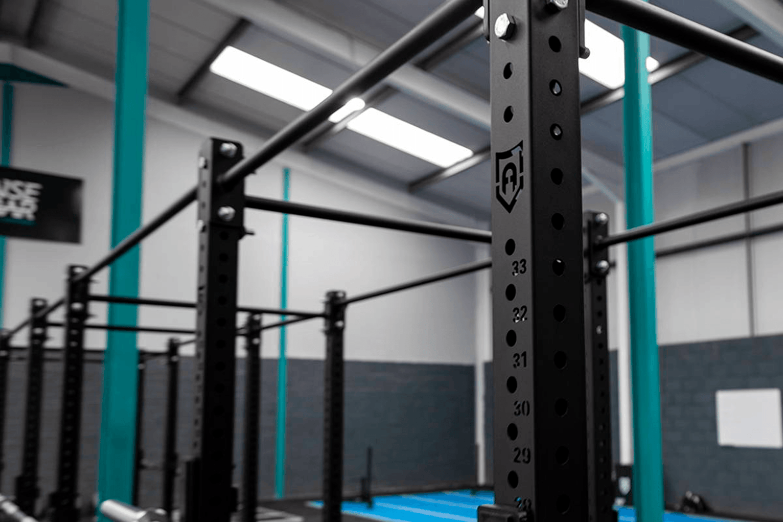 Functional Training - Choosing the Best Rig for your Gym - Apollofitness.ie