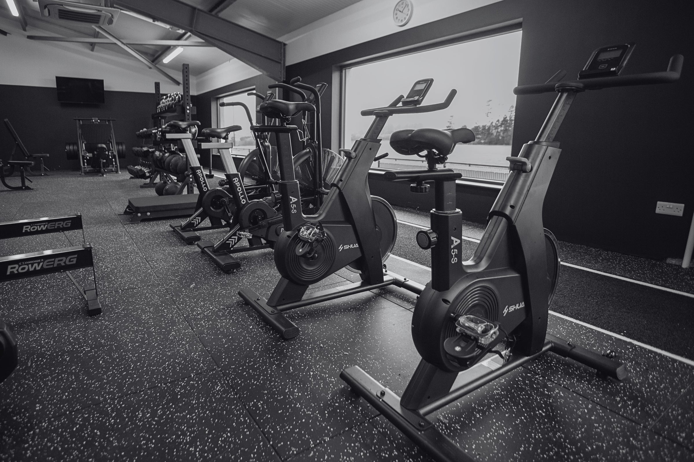 Exercise Bikes
