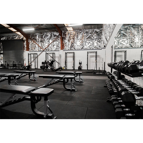 APOLLO  Decline/ Incline Bench