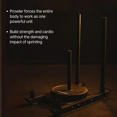 Prowler