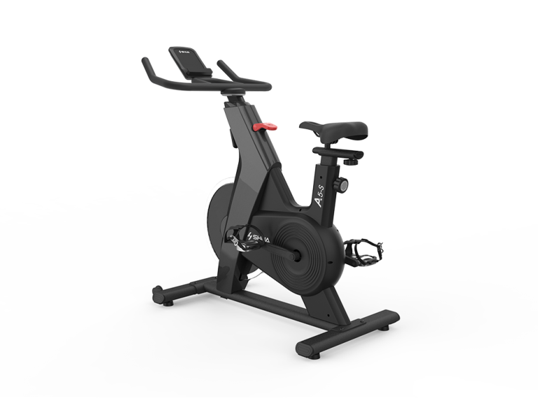 SHUA Home Spin Bike Diagonal View - Apollo Fitness