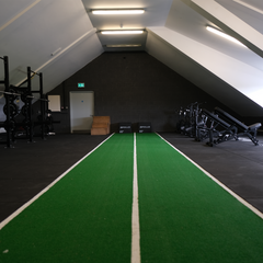Premium Artificial Turf - Apollo Fitness