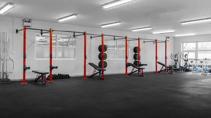 Three Bay Wall Mounted Rig - Apollo Fitness