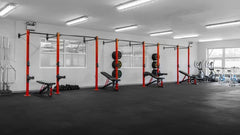 Three Bay Wall Mounted Rig - Apollo Fitness