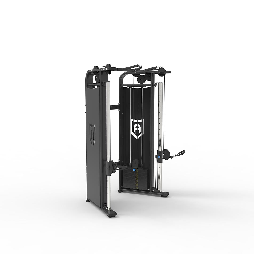 dual pulley- Apollo Fitness