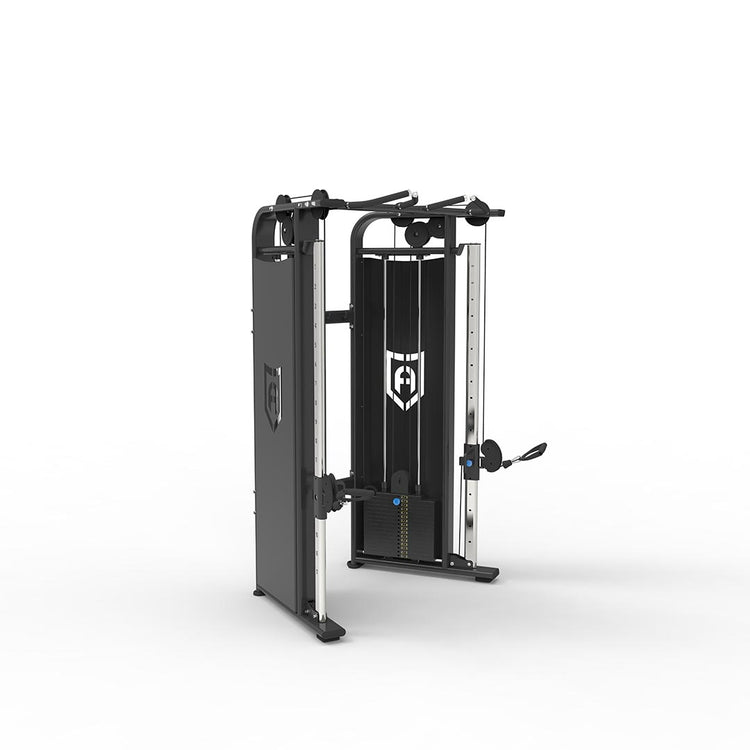 dual pulley- Apollo Fitness