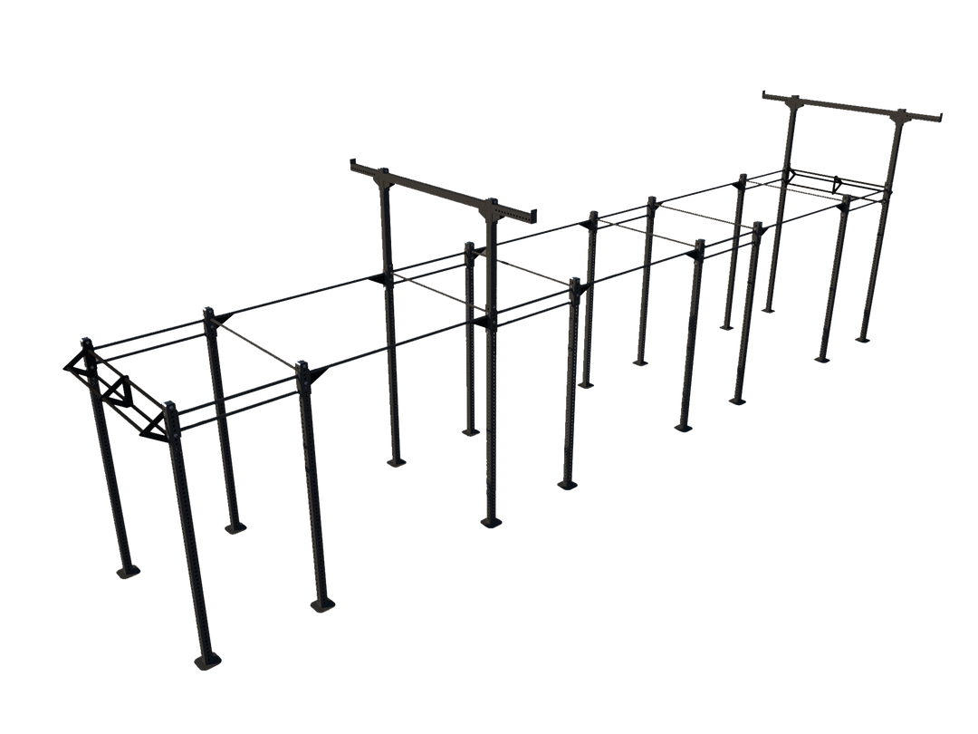 Custom Freestanding Rig - Apollo Fitness