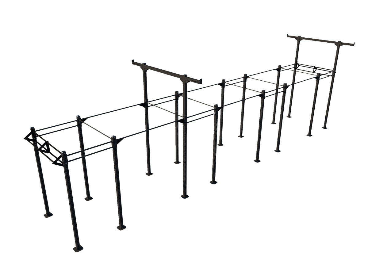 Custom Freestanding Rig - Apollo Fitness