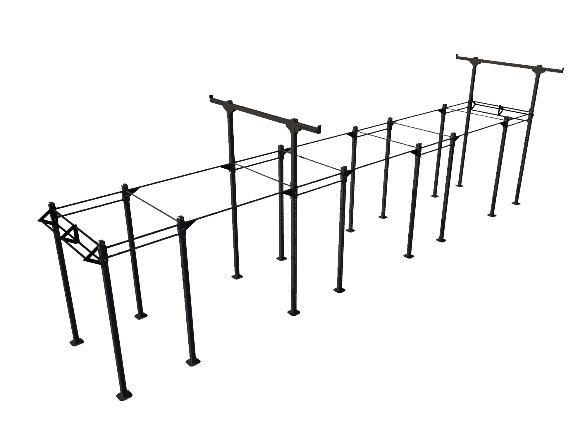 Custom Freestanding Rig - Apollo Fitness