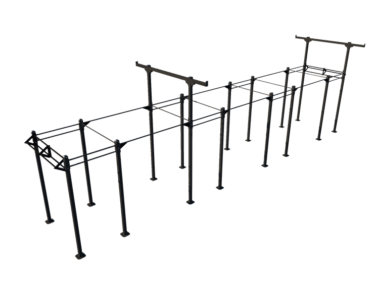 Custom Freestanding Rig - Apollo Fitness