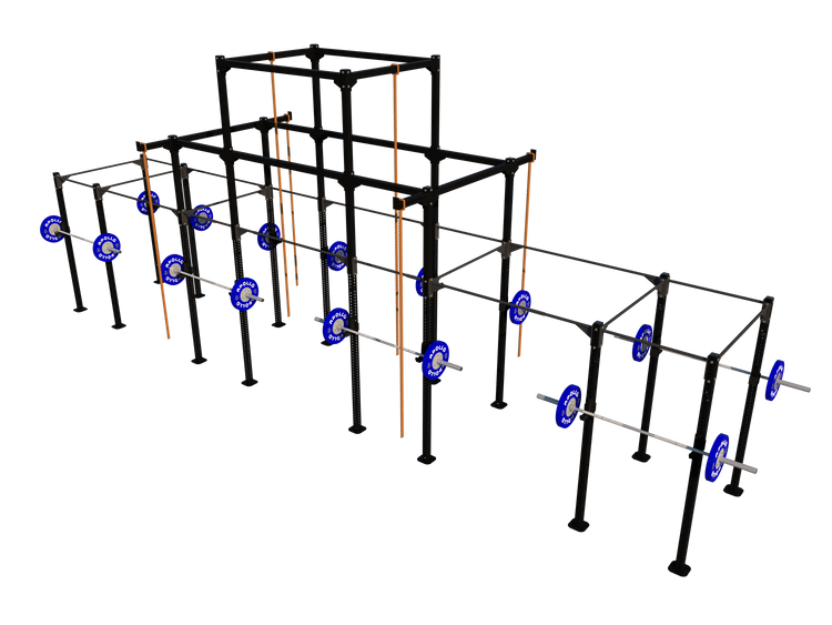 Custom Freestanding Rig - Apollo Fitness