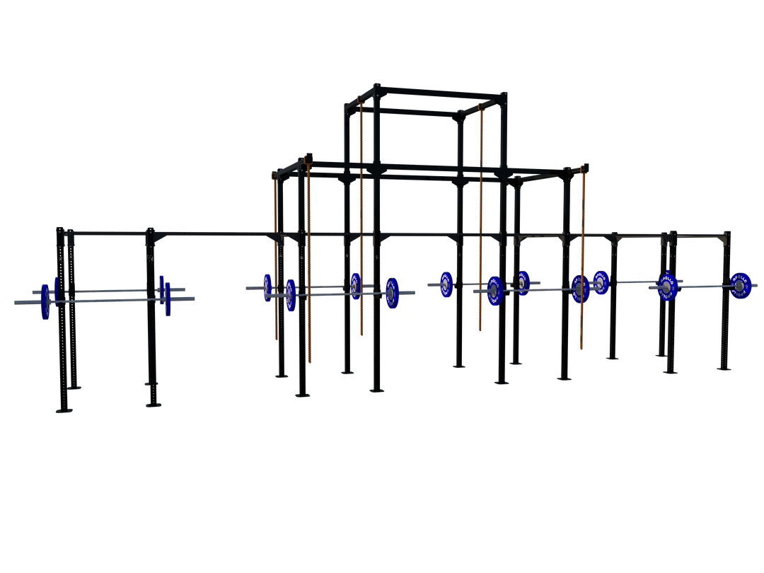 Custom Freestanding Rig - Apollo Fitness