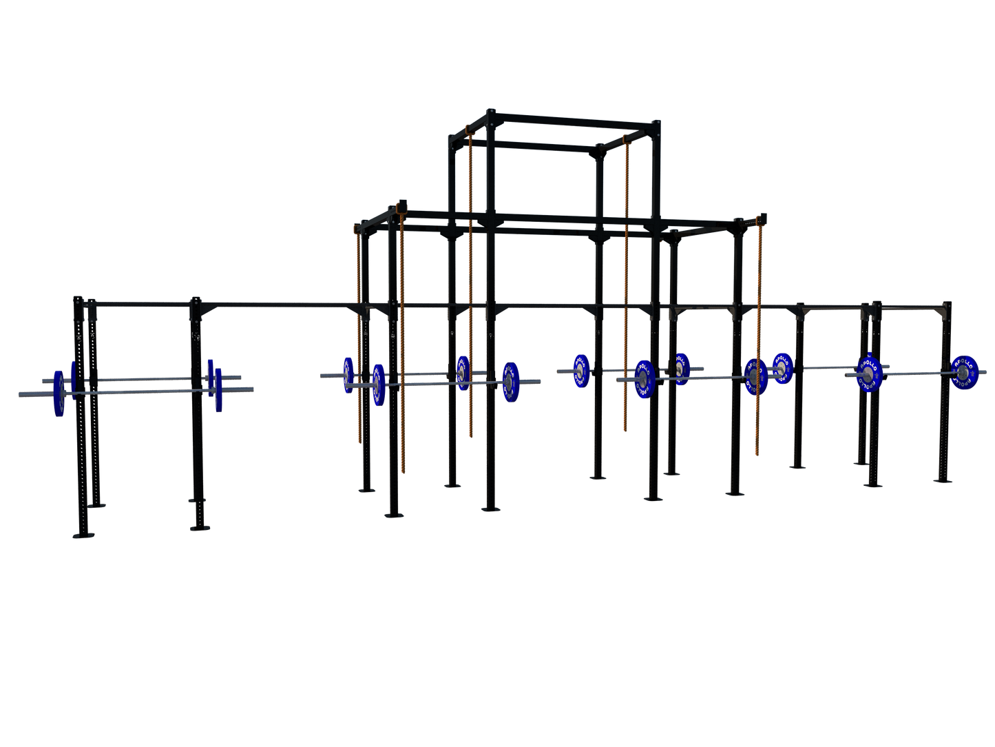 Custom Freestanding Rig - Apollo Fitness