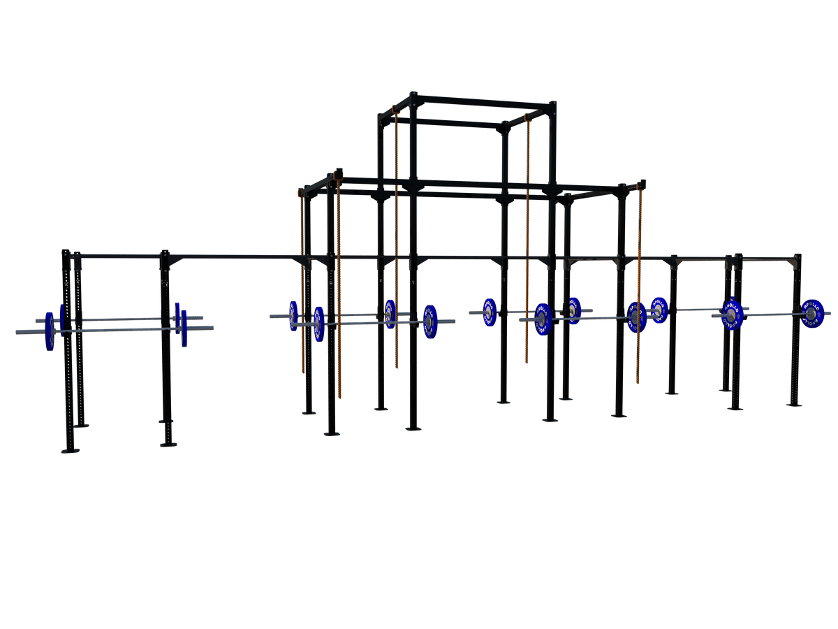Custom Freestanding Rig - Apollo Fitness