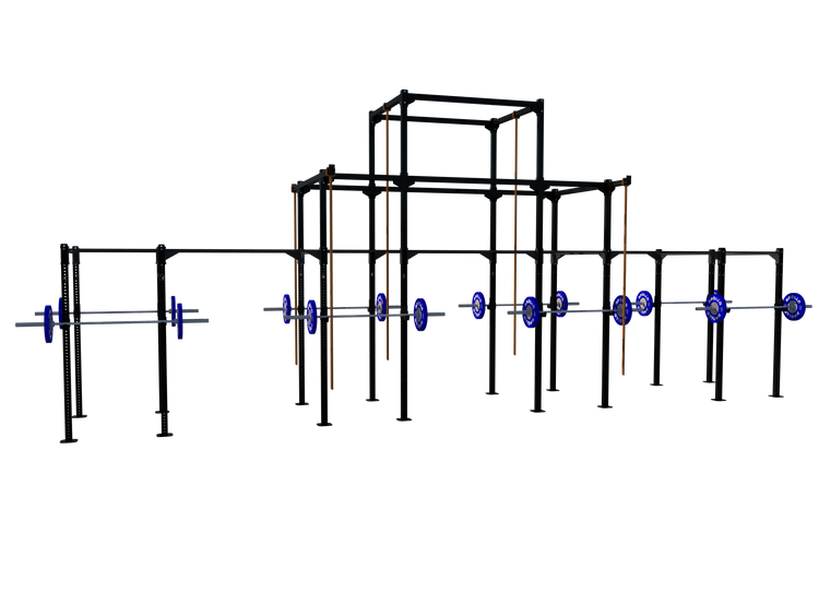 Custom Freestanding Rig - Apollo Fitness