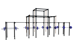 Custom Freestanding Rig - Apollo Fitness