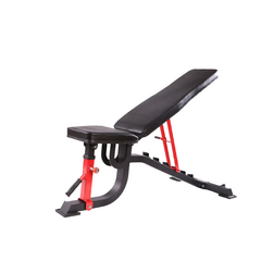APOLLO Decline/ Incline Bench 