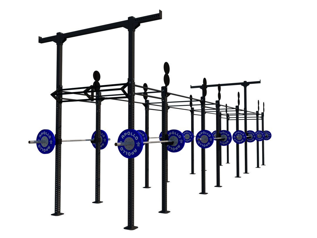 Custom Freestanding Rig - Apollo Fitness