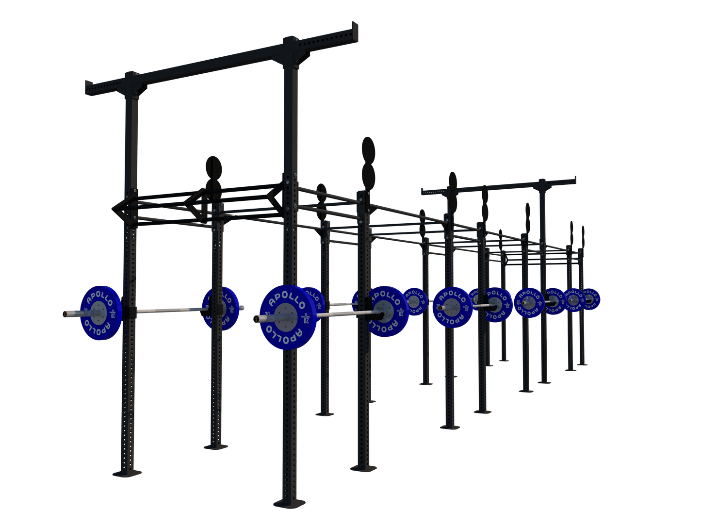 Custom Freestanding Rig - Apollo Fitness