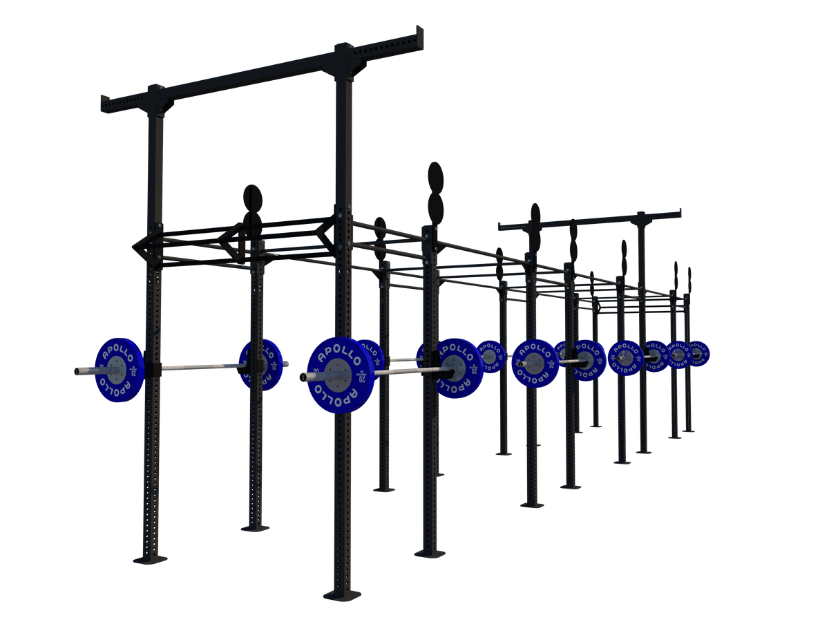 Custom Freestanding Rig - Apollo Fitness