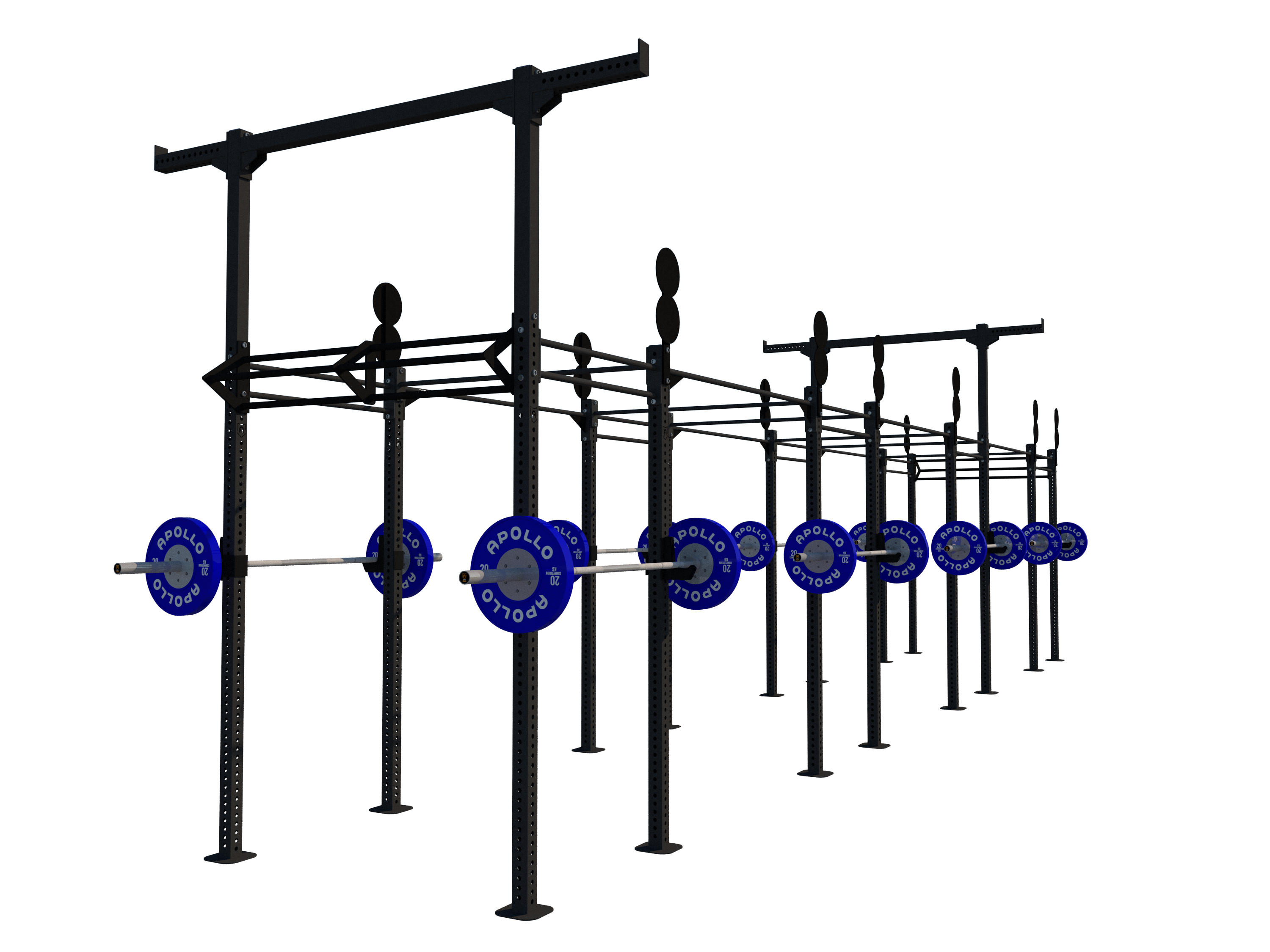 Custom Freestanding Rig - Apollo Fitness