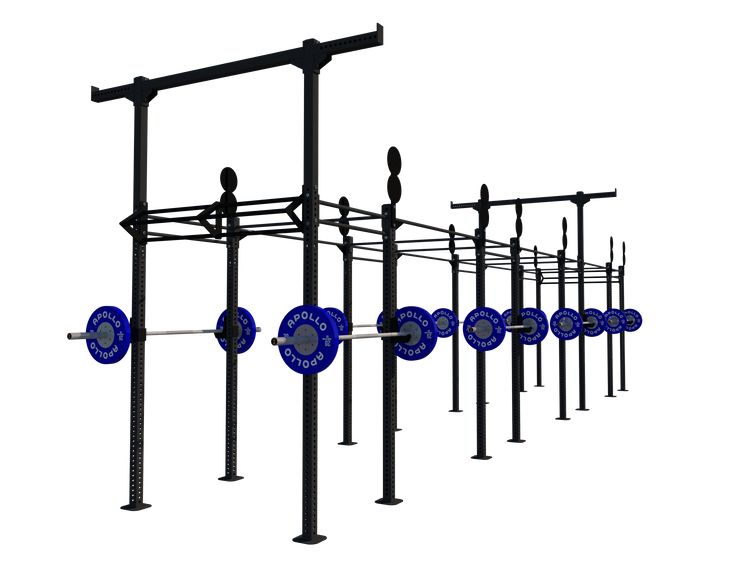 Custom Freestanding Rig - Apollo Fitness