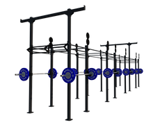Custom Freestanding Rig - Apollo Fitness