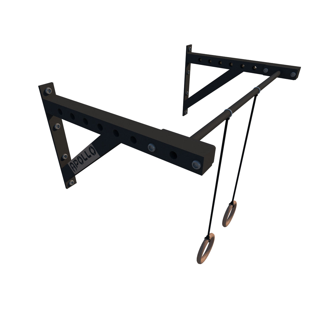 Wall Mounted Pull Up Bar