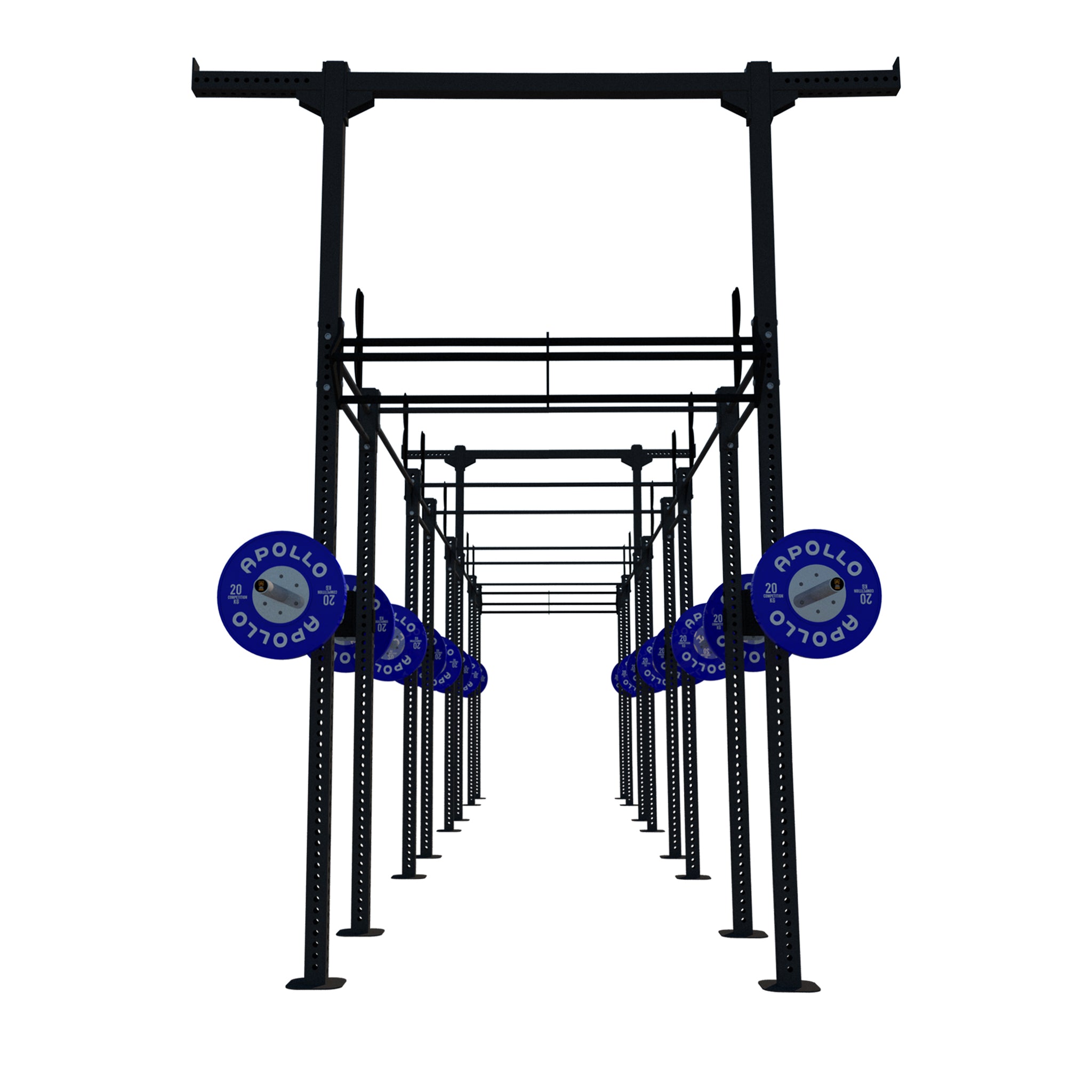Custom Freestanding Rig - Apollo Fitness