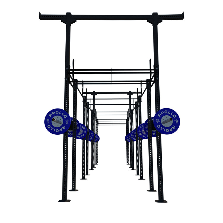 Custom Freestanding Rig - Apollo Fitness