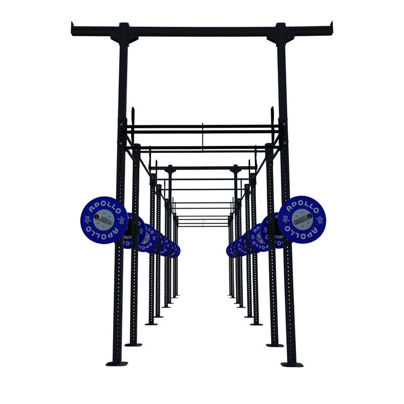 Custom Freestanding Rig - Apollo Fitness