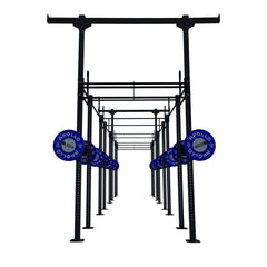 Custom Freestanding Rig - Apollo Fitness