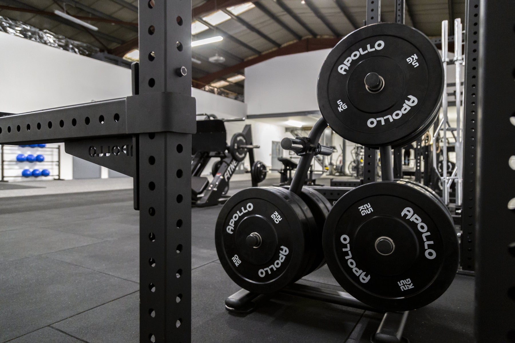 Gym Weights Bars, Weight Plates & Kettlebells | Apollo Fitness ...