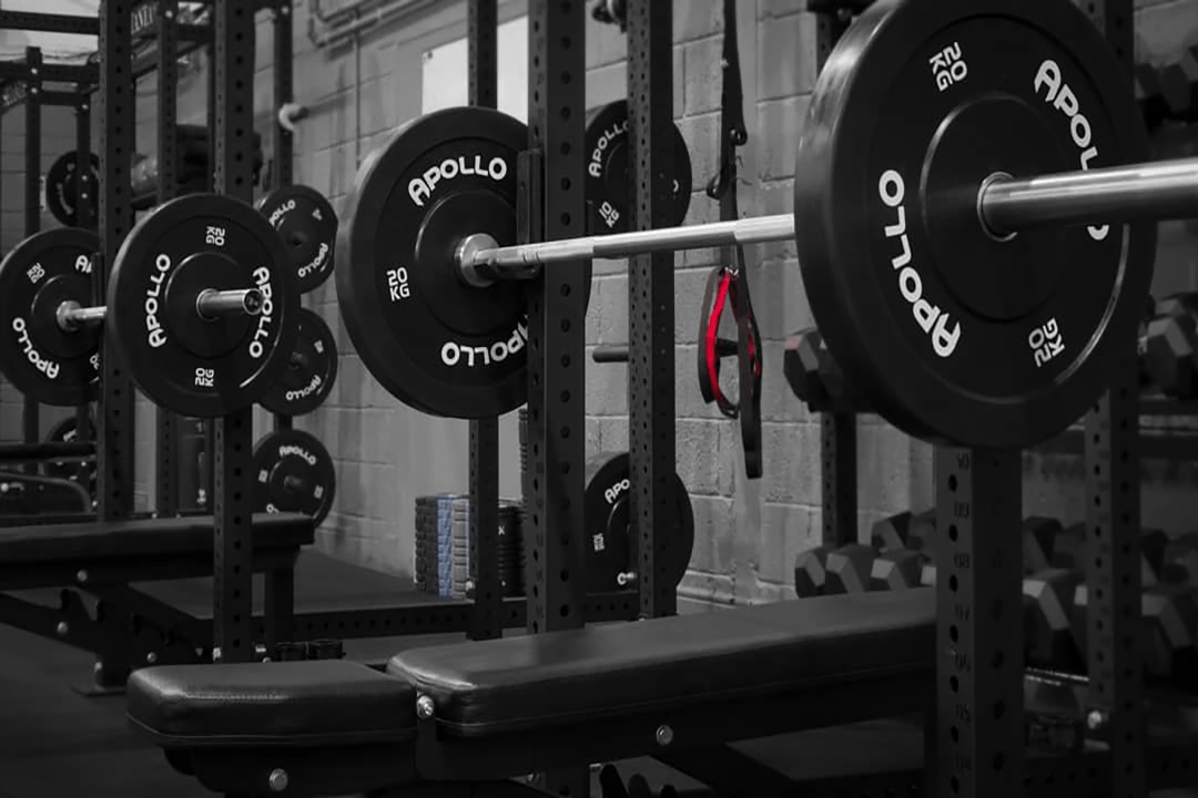 Black bumper plate- Apollo Fitness