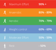 Uptivo Heart Rate Training System - Apollo Fitness