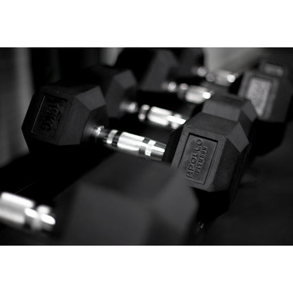 Rubber Hex Dumbbells - Apollo Fitness