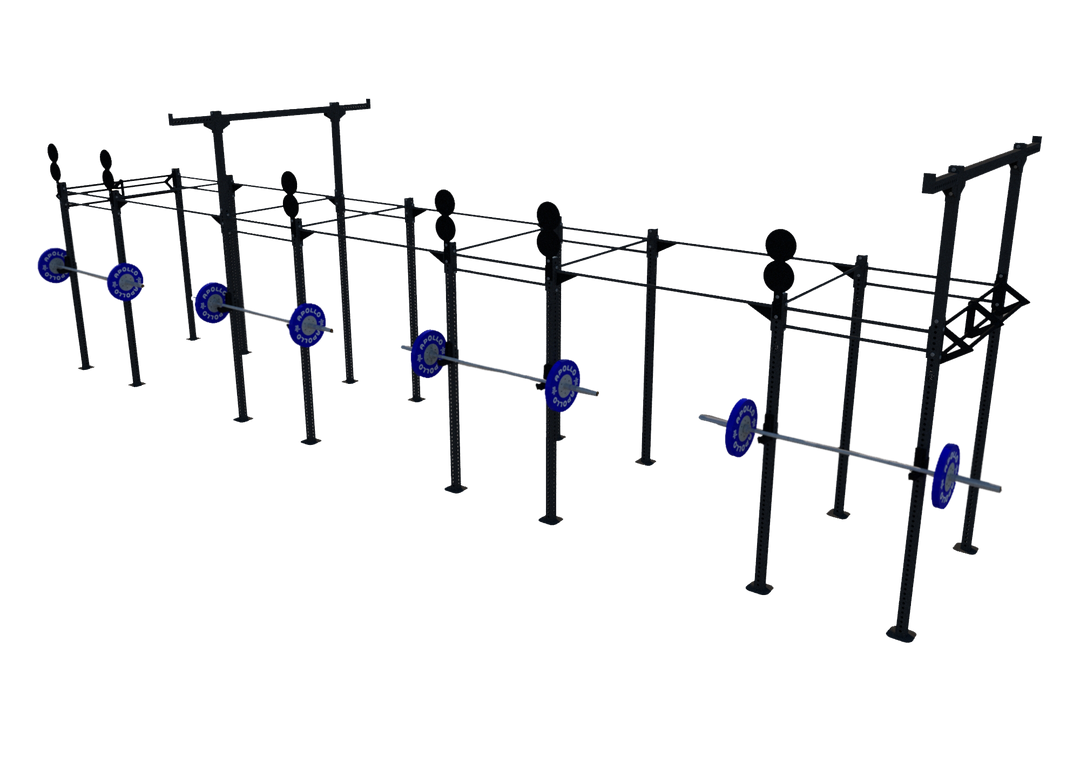 Custom Freestanding Rig - Apollo Fitness