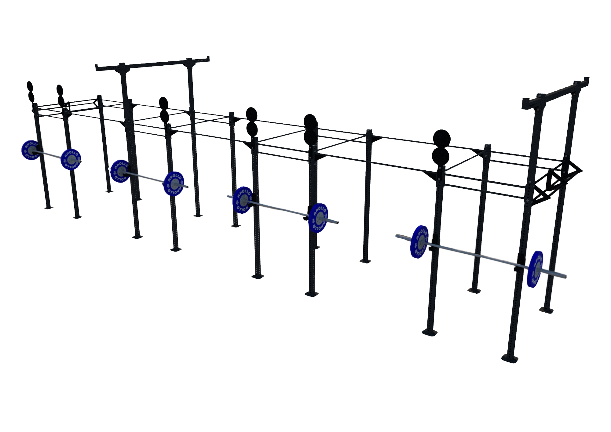 Custom Freestanding Rig - Apollo Fitness