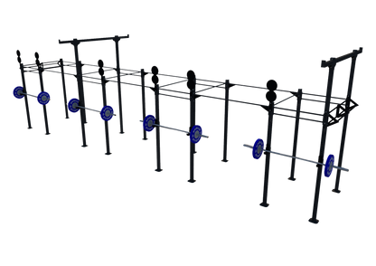 Custom Freestanding Rig - Apollo Fitness