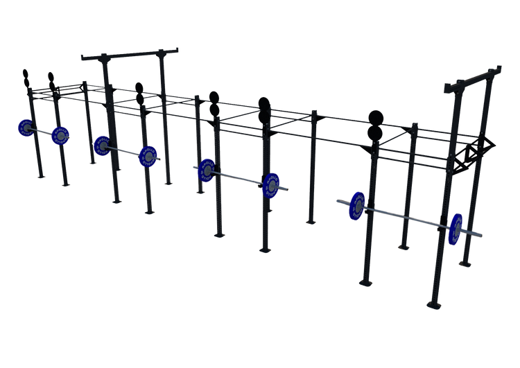 Custom Freestanding Rig - Apollo Fitness