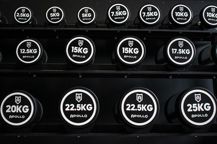 Urethane Dumbbells - Apollo Fitness