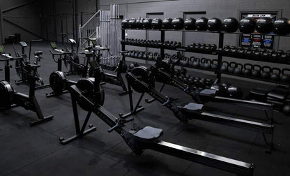 Rower Model D - Apollo Fitness