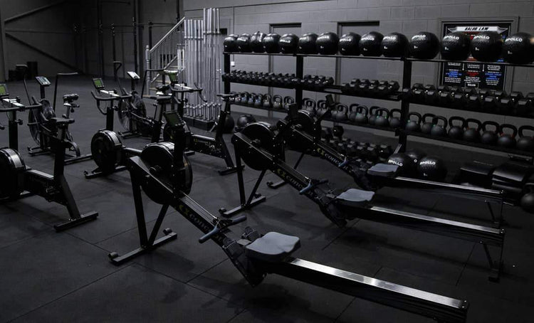 Rower Model D - Apollo Fitness