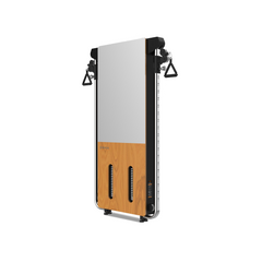 Shua wall mounted pulley- Apollo Fitness