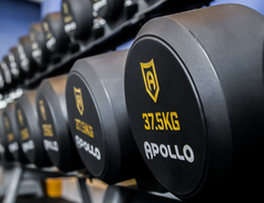 Discounted Urethane Round Dumbbells - Apollo Fitness